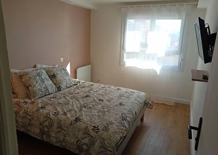 Lumineux Et Cosy F3 Vue * 阿雅克肖